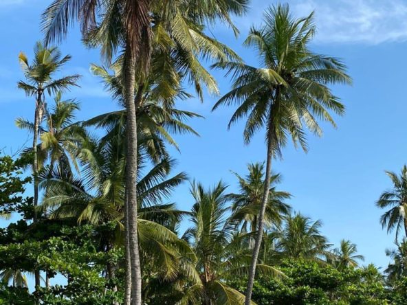 Airbnb in the sharing economy serviced apartment in Kenya