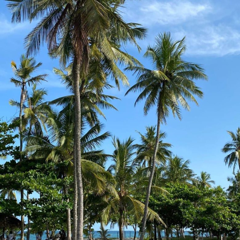 Airbnb in the sharing economy serviced apartment in Kenya