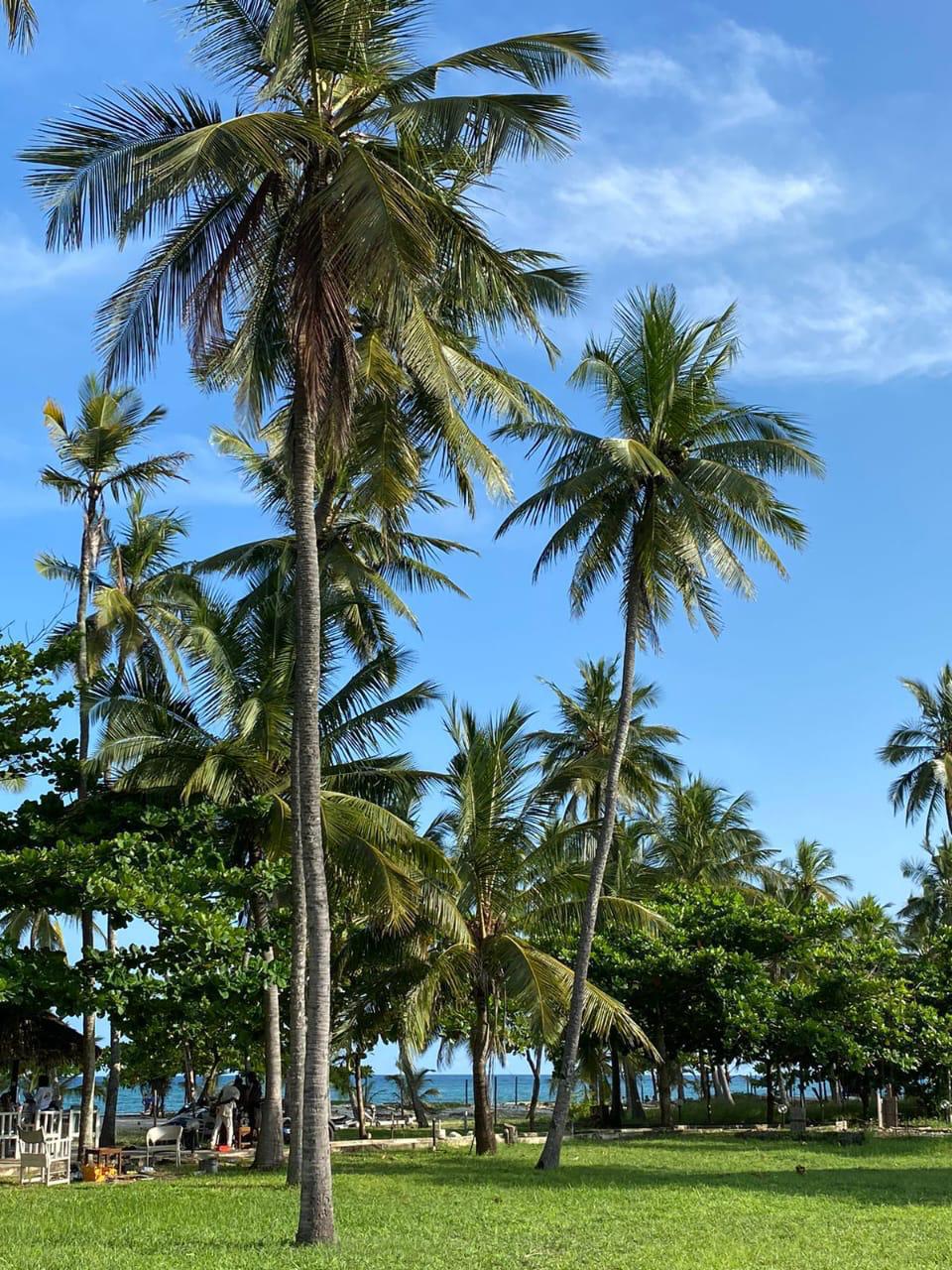 Airbnb in the sharing economy serviced apartment in Kenya